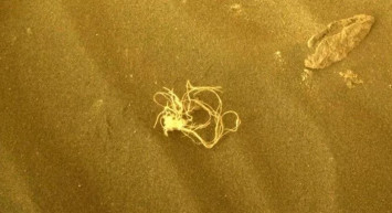 Gören bir daha bakıyor! Marsta gizemli cisim! Perseverance ilginç bir keşfe imza attı!