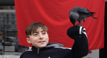 Görenler Hayrete Düştü! Karga 'Şakir' Omuzlarda Geziyor