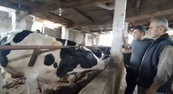 Gümüşhane kurbanlık fiyatları ne kadar? 2022 Gümüşhane büyükbaş, küçükbaş kurbanlık hisse fiyatları