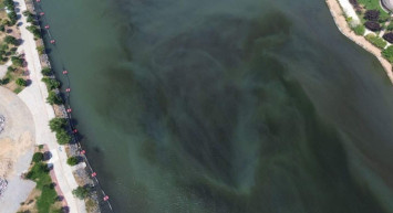 Haliç’te korkutan manzara: Suyun rengi siyaha döndü