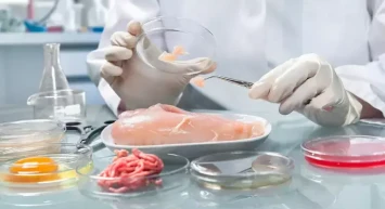 Hamburgerden at eti çıktı