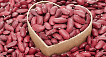 Hamilelikte barbunya tüketilmesi doğru mu? Hamilelikte barbunya tüketimine dikkat! Hamilelikte barbunya yemenin zararları ve faydaları