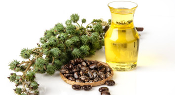 Hangi hastalıklar bele vurur? Bel ağrısının ilacı Hint yağında saklı