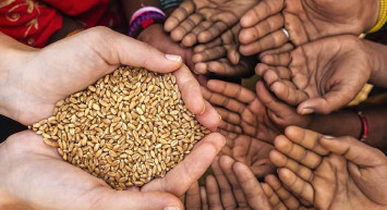 Hangi malların zekatı verilir? Altının zekatı ne kadar? Zekat ve fitre hesaplaması