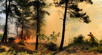 Hatay ve Muğla’da korkutan yangın: Ekipler müdahale ediyor