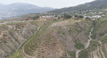 Hatay'da orman yangınlarından zarar gören 669 hektar alana 1 milyon 200 bin fidan dikildi