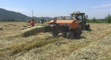 Asgari Ücretle Çalışıp Kendi İşletmelerini Kurdular