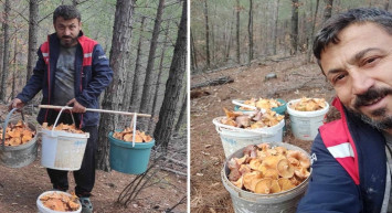 Her yıl ormanda toplayıp satıyor: Aylık kazancı 90 bin liraya ulaşıyor