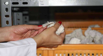 Herşey Türk tarımının geleceği için: Tohumlar soğuk ortamda muhafaza ediliyor