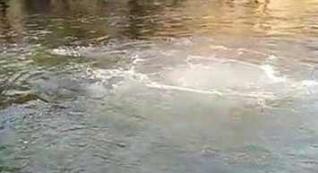 Heybeliada'da isyan ettiren olay: İSKİ borusu patladı lağım denize karıştı