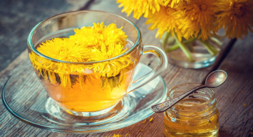 Hindiba nedir, faydaları nelerdir, neye iyi gelir? Hindiba çayı ve kahvesi nasıl demlenir? Vitamin zengini hindibanın yararları