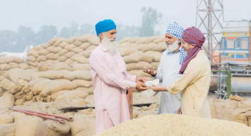 Hindistan'dan flaş hamle! Şartlar sebebiyle buğday ihracatını yasakladı: Türkiye'yi etkilemesi beklenmiyor