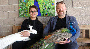 Hobisini mesleğine çevirdi: Sattığı tavus kuşlarının tanesinden 5 bin TL kazanıyor!