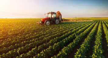Hollanda tarımda bizden daha mı iyi? Türkiye’nin Hollanda’dan öğrenmesi gerekenler