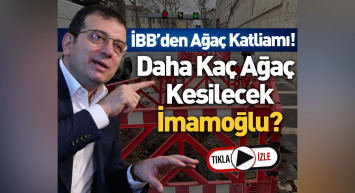İBB ve Ekrem İmamoğlu'na tepki: Bu bir ağaç katliamıdır