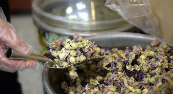 İbrahim Saraçoğlu öksürüğü anında kesen hatmi çiçeğinin faydalarını anlattı