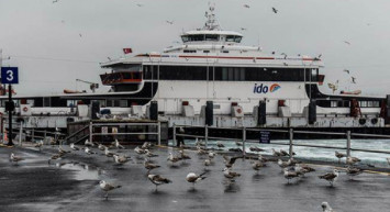 İDO-BUDO 19 Mart Vapur, feribot, arabalı feribot seferleri iptal mi, feribotlar çalışıyor mu? 19 Mart iptal olan feribot seferleri