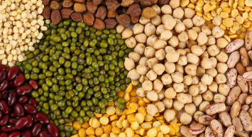 İhracat sektörü alt dallarda da ilerlemeye devam ediyor, hububat mamüllerinde 2 ayda yaklaşık 2 milyar dolarlık ihracat