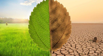 İklim değişikliği nedir, nedenleri nelerdir? Küresel ısınmadan kaynaklı iklim değişikliğinin etkileri!