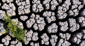 İklim Krizinin Etkisi Marmara Gölüne Yansıdı! Göl Tamamen Kurudu!