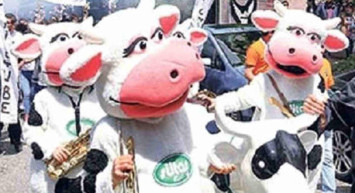 İnek bayramı nedir, neden kutlanır ? İnek bayramı ne zaman ortaya çıkmıştır?