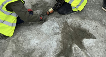 İngiltere'de dinozor ayak izi keşfedildi.