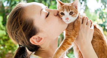 İnsan ve kedi dostluğunun sırrı çözüldü! Kediler neden bu kadar çok seviliyor?