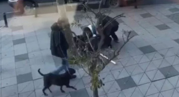 İSPARK görevlisinden yaşlı sürücüye dayak: Kamyonetten indirip sopayla darp etti!