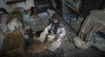 İsrail saldırıları Lübnan'lı Abadi’yi 40 kedisiyle göçe zorladı