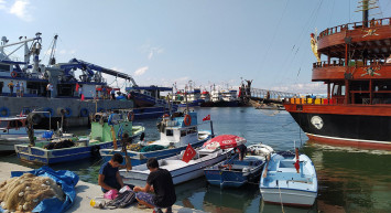 İstanbul Boğazı'nda 60 Yıl Sonra Kılıç Balığı Yakalandı!