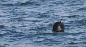 İstanbul Boğazındaki mayınlar tehlikeli mi, etkisiz hale getirildi mi?