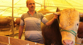 İstanbul kurbanlık fiyatları ne kadar? 2022 İstanbul büyükbaş, küçükbaş kurbanlık hisse fiyatları