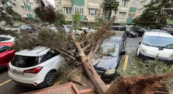 İstanbul Valiliği’nden son dakika açıklaması: Dün akşam başlayan fırtınada bir kişi hayatını kaybetti
