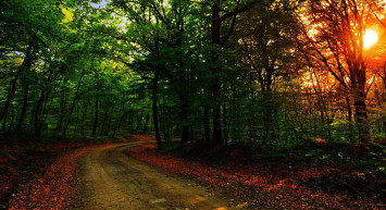 İstanbul'da piknik yapmak yasak mı? İstanbul'da piknik yapılacak yerler