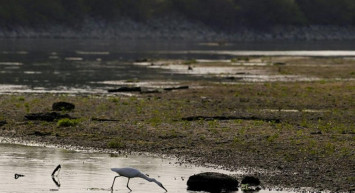 İtalya, son 70 yılın en kurak yılını geçiriyor! Kuraklık kriziyle karşı karşıya kalan 5 bölgede 'OHAL' ilan edildi!