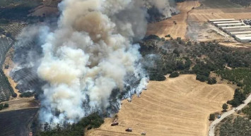 İzmir’de korkutan orman yangını: Olay yerine çok sayıda ekip yönlendirildi
