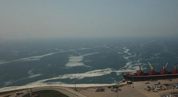 İzmit Körfezi’nde Deniz Salyası Tekrar Görüldü