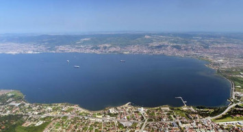 İzmit körfezindeki yosunların sebebi ne? Yosun zararlı mı nasıl oluşur?