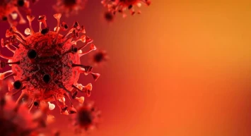 Japonya'dan yeni bir virüs mü yayılıyor? İşte o ölümcül bakterinin belirtileri...