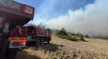 Kahramanmaraş'ta Orman Yangını: Ekipler Müdahaleye Başladı