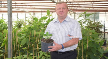 Kahve severlere müjdeli haber! Tayland’dan gelen kahve tohumları filizlendi! Ülke ekonomisine ciddi katkıları olabilir