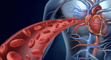 Kalp ve damar sağlığına iyi gelen besinler: Birkaç saat içinde etkisini gösteriyor