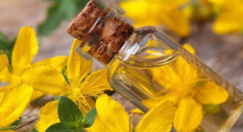 Kantaron yağı nedir, faydaları nelerdir, neye iyi gelir, basura iyi gelir mi? Basurun doğal ilacı kantaron yağı ağrıyı yok ediyor