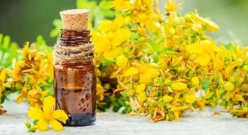 Kantaronun kullanımı