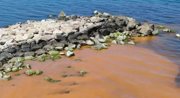 Karadeniz'de korkutan görüntüler! Ekipler hemen harekete geçildi, numune alındı