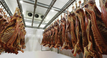 Karkas et nedir, ne demektir? Karkas et nereden satın alınır, nerelerde satılır? Karkas et hakkında bilgiler