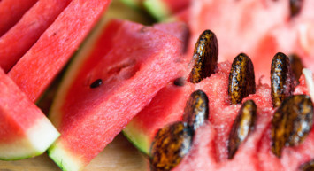 Karpuz çekirdeği neye iyi gelir, nasıl yenir? Diyabete karşı etkili olan karpuz çekirdeğinin faydaları