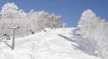 Kartepe'de Kar Yağışı Etkili Oldu