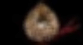 Kaşıkçı Elması değeri ne? Kaşıkçı Elması kayıp mı? Kaşıkçı elması Kaç TL, kaç dolar değerinde?