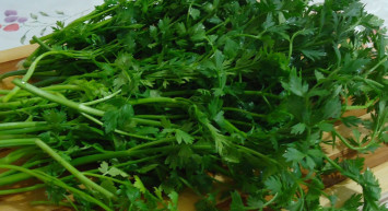 Kazayağı otu faydaları nelerdir, zayıflatır mı, nasıl yapılır, nasıl tüketilir? Kazayağı otunun 8 faydası